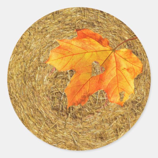 Oogst van Love Classic Round Sticker (Voorkant)