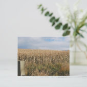 Oogst van maïs in de herfst briefkaart (Staand voorkant)