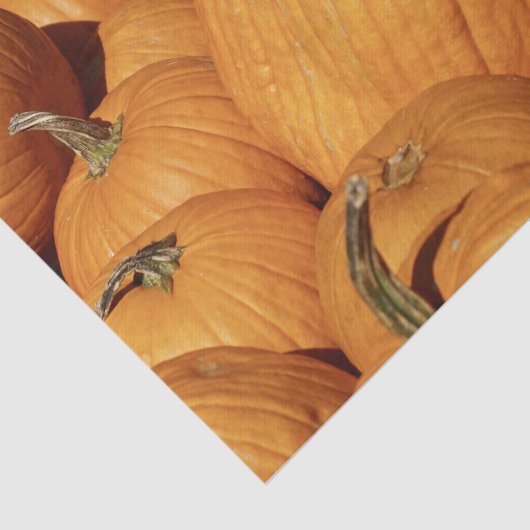 Oogst van Pumpkins Photo Tissuepapier (Detail)