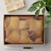 Oogst van Pumpkins Photo Tissuepapier (Geschenk)
