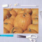 Oogst van Pumpkins Photo Tissuepapier (Craft)