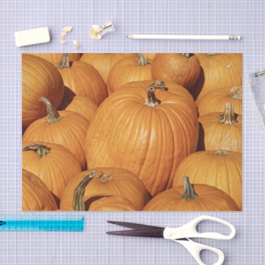 Oogst van Pumpkins Photo Tissuepapier (Craft)
