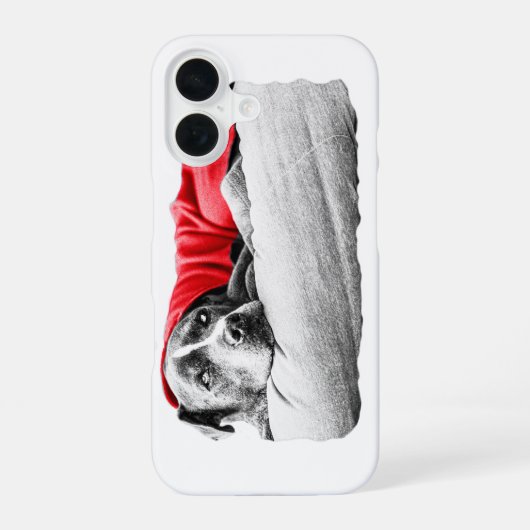 Oogst Vlam Rust iPhone 16 Hoesje (Achterkant)
