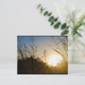 Oogst Zonsopgang Briefkaart (Staand voorkant)