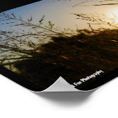 Oogst Zonsopgang Poster (Hoek)