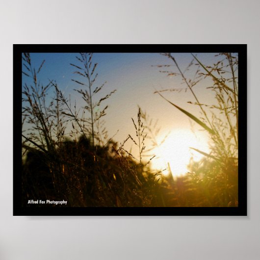 Oogst Zonsopgang Poster (Voorkant)