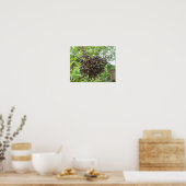 Oogstbare Vlierbessen Print (Keuken)