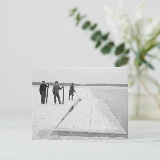 Oogstblokken, 1906 briefkaart (Staand voorkant)