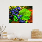 Oogstdruiven Poster (Keuken)