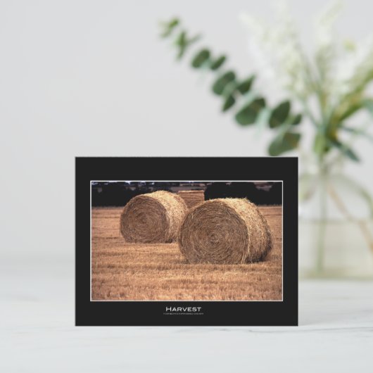 oogsten | BRIEFKAARTEN (Staand voorkant)