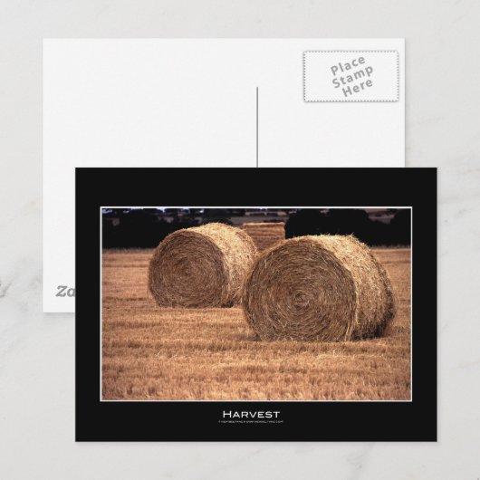 oogsten | BRIEFKAARTEN (Voorkant / Achterkant)