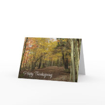 Oogstherfst Bos Kleurrijk Loof Foto 