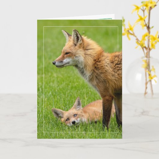 Oogstofoxiden verliezen kaart (Gele Bloem)