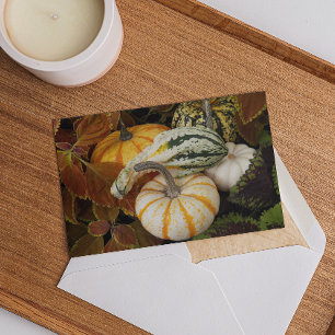 Oogstpompoen Thanksgiving-dineruitnodiging Feestdagen Kaart