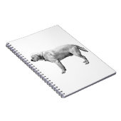 Oogstreflecties Notitieboek (Rechterzijde)