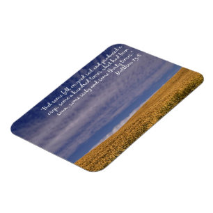 Oogstscripts Magneet