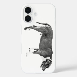 oogstseizoenbeschermer iPhone 16 hoesje
