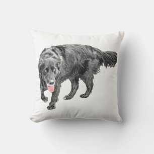 Oogstspel, inkt en rood kussen