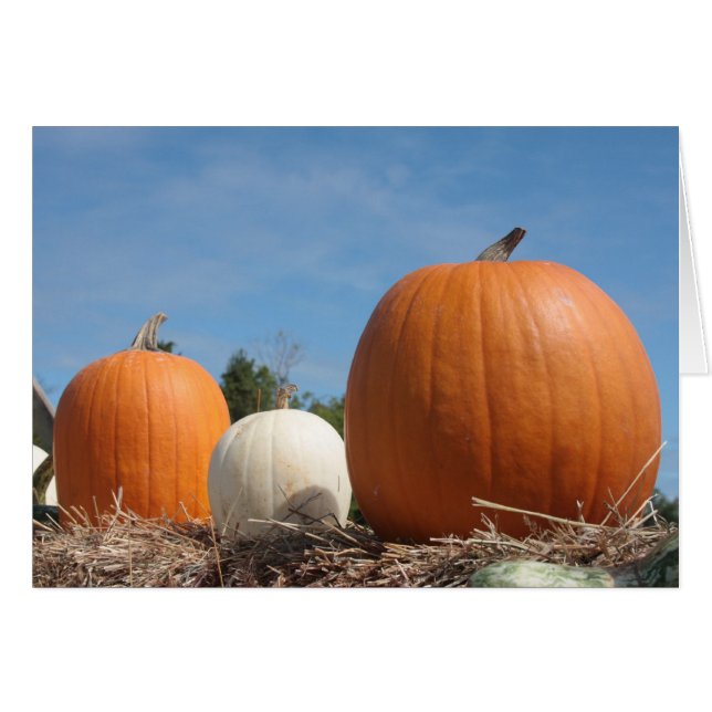 OOGSTTIJD!!! (Voorkant Horizontaal)