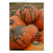 Oogsttijd (Voorkant)