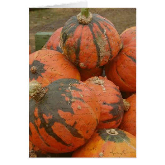 Oogsttijd (Voorkant)