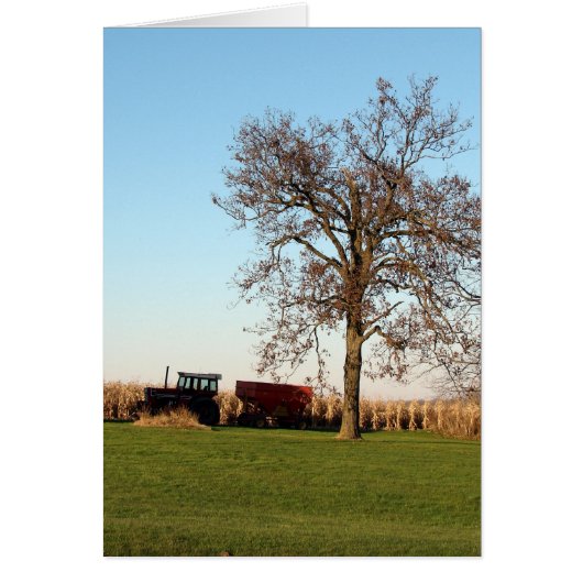 Oogsttijd 2 (Voorkant)