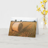 Oogsttijd - Blank Groetjes Kaart (Gele Bloem)