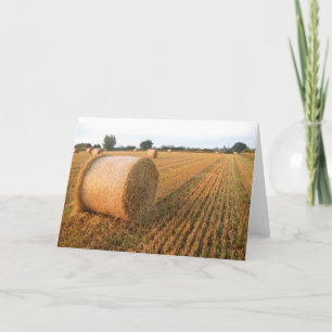 Oogsttijd - Blank Groetjes Kaart