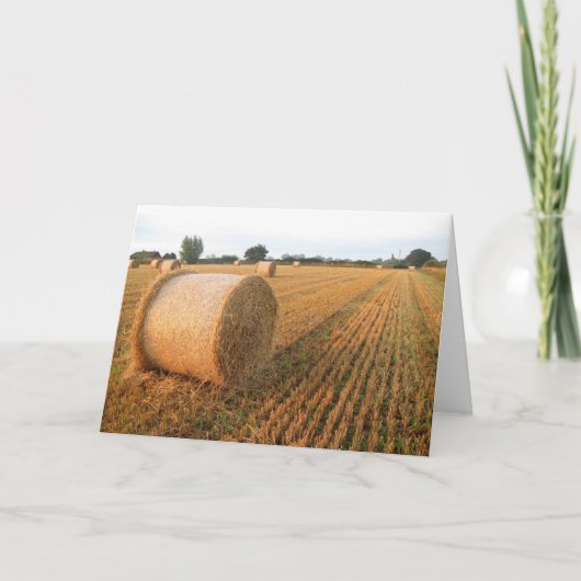 Oogsttijd - Blank Groetjes Kaart (Voorkant)