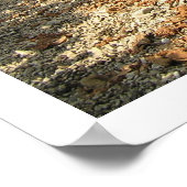 Oogsttijd Poster (Hoek)