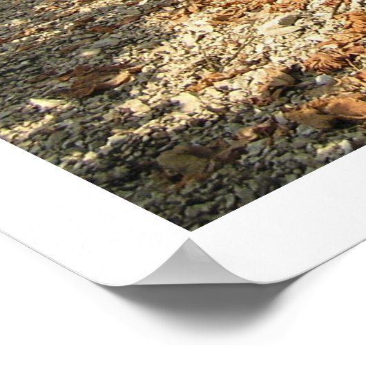 Oogsttijd Poster (Hoek)