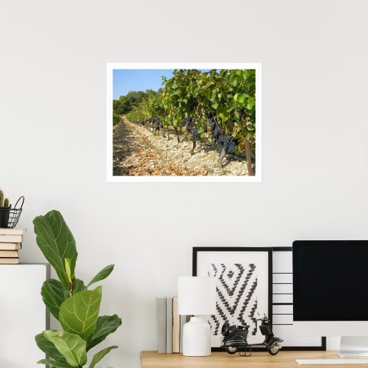 Oogsttijd Poster (Thuiskantoor)