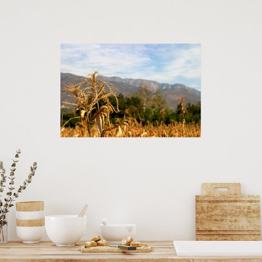 Oogsttijd Poster (Keuken)