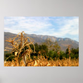 Oogsttijd Poster (Voorkant)