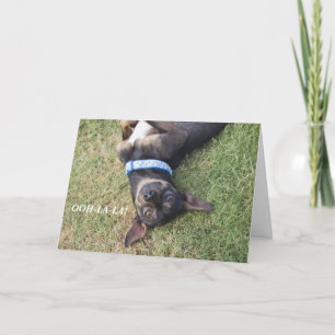 Ooh-la-Chihuahua Birthday Card Kaart