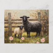 Ooi en lamsvlees Spring Sheep Art Briefkaart (Voorkant)