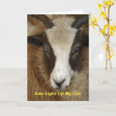 Ooi Verlicht Mijn Leven Verjaardag Kaart (Gele Bloem)