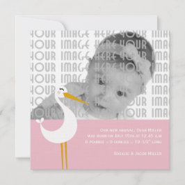 Ooievaar Geboorte Aankondiging