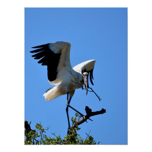 Ooievaar in het wild perfect poster (Voorkant)
