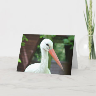 ooievaar kaart