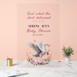 Ooievaar leveren een baby meisje acryl bord