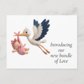 Ooievaar merchandise briefkaart (Voorkant)