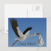 Ooievaar met Baby Bundle Briefkaart (Voorkant / Achterkant)