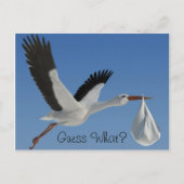 Ooievaar met Baby Bundle Briefkaart (Voorkant)