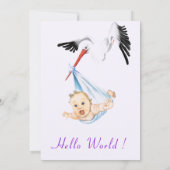 Ooievaar met Baby shower Invitation Funny Design (Achterkant)