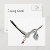 Ooievaar met Bundel op Wit Briefkaart (Voorkant / Achterkant)