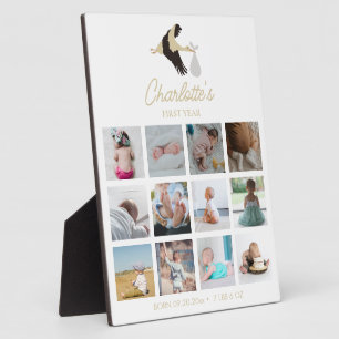 Ooievaar Nieuwe Geboorte Baby's Eerste Jaar Foto's Fotoplaat