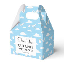 Ooievaar Special Delivery Baby Shower Blauwe Wolke