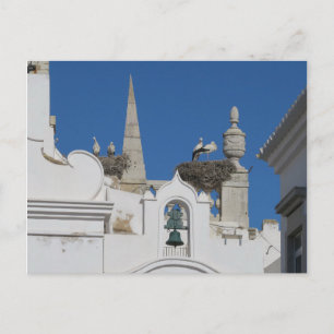 ooievaars bouwen nesten op de kerk in de oude stad briefkaart