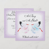 Ooievaars en baby's Baby Gender Reveal Party Invit Kaart (Voorkant / Achterkant)